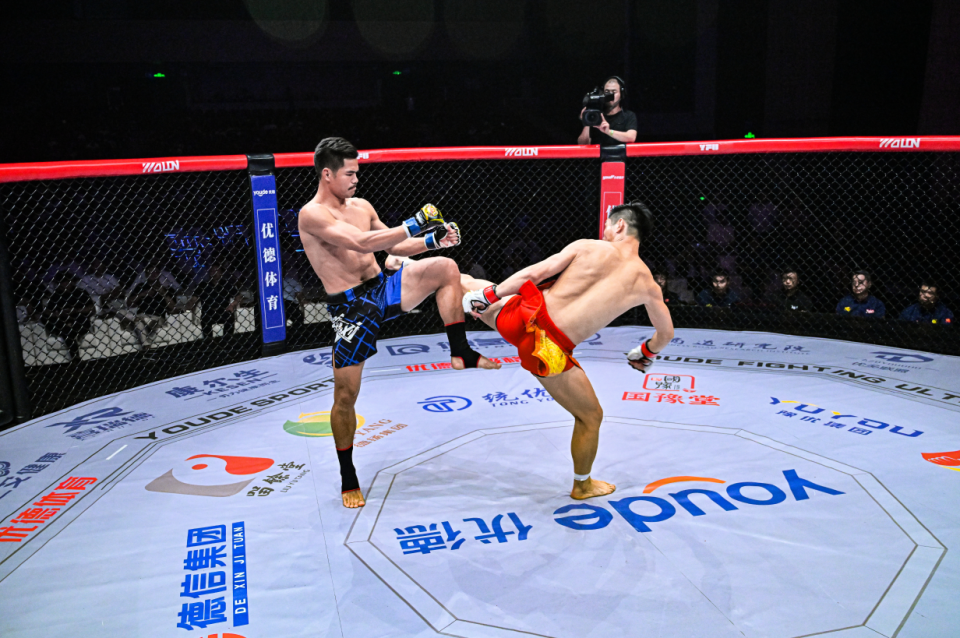 风雨者, boxin, Tf 风雨者, boxin, Tf