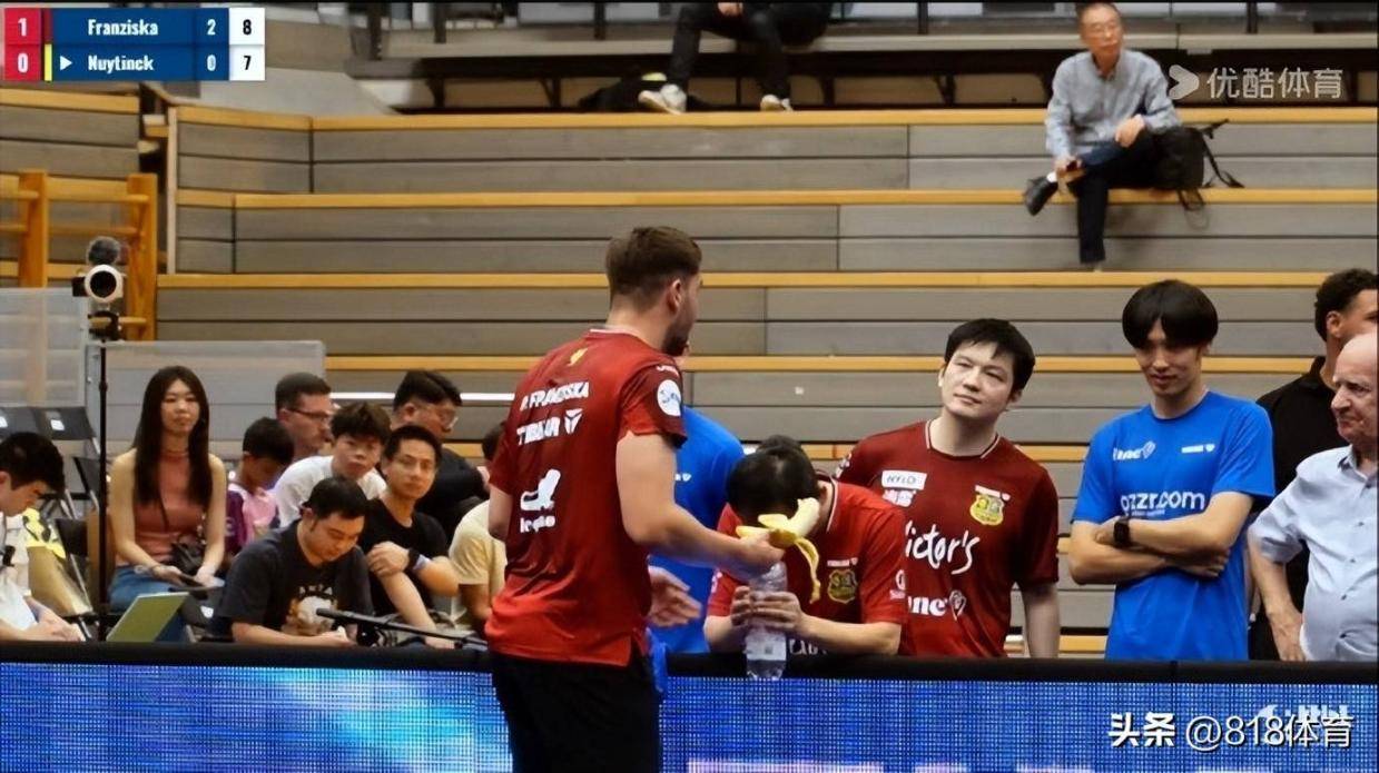 么东西吗, 樊振东的魅